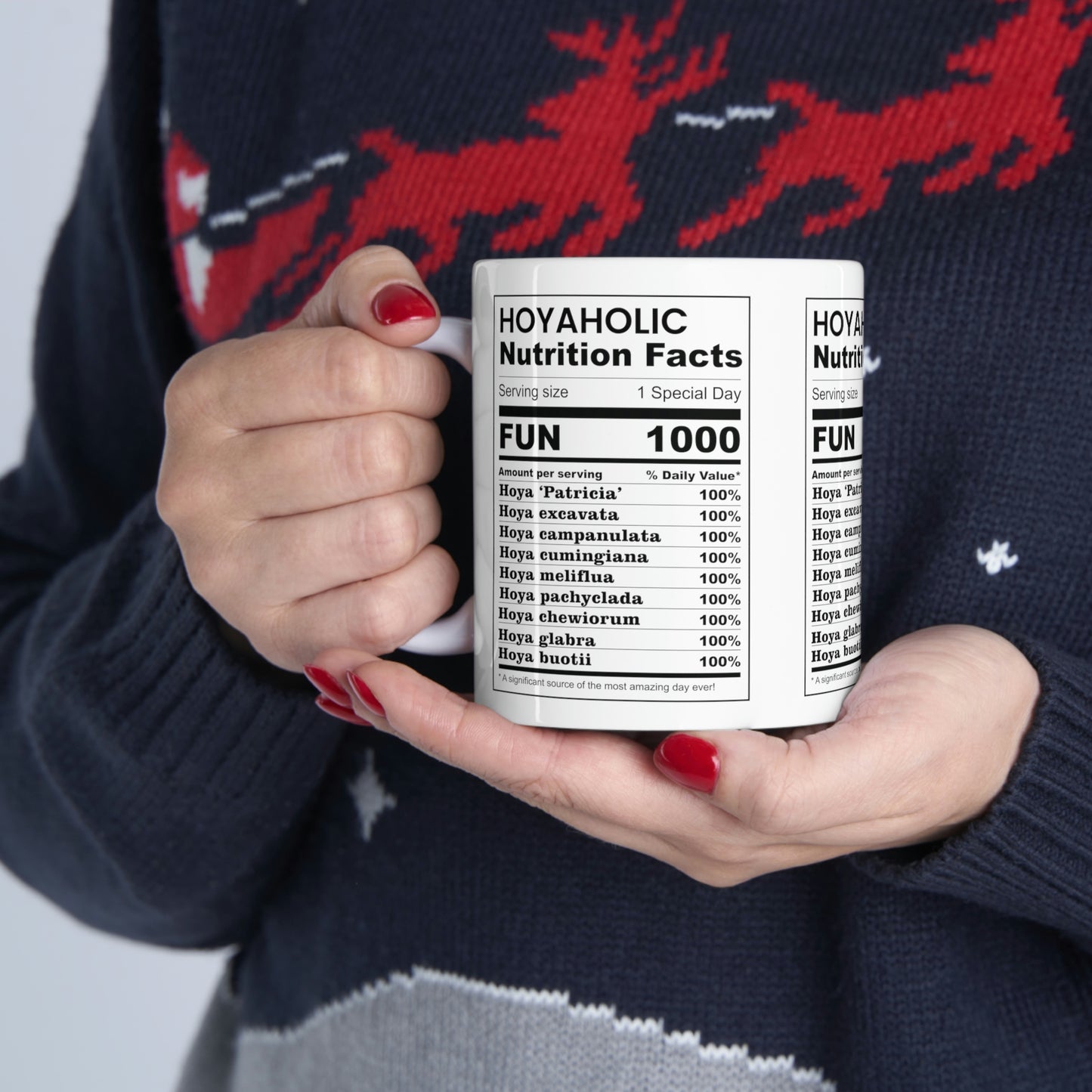 HOYAHOLIC NUTRITION FACTS MUG 11oz